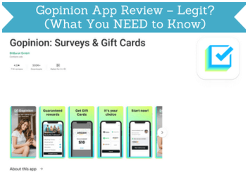 cabecera de reseña de la app gopinion