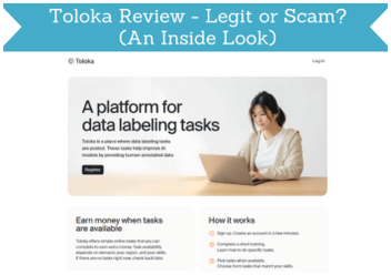 cabecera para reseña de toloka