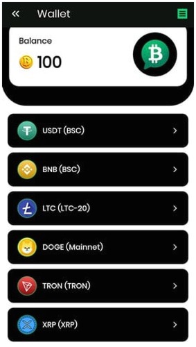 opciones de pago de bitopinion